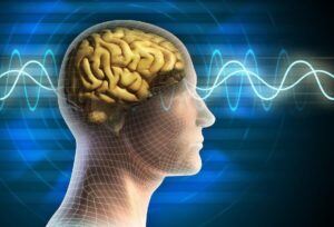 Read more about the article طراحی و ساخت دستگاه هماهنگ‌کننده تحریک مغزی و عضلانی توسط پژوهشگران دانشگاه تربیت مدرس