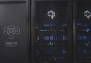 Read more about the article چین از بزرگ‌ترین رایانه شبیه‌ساز مغز با الگوبرداری از مغز میمون رونمایی کرد